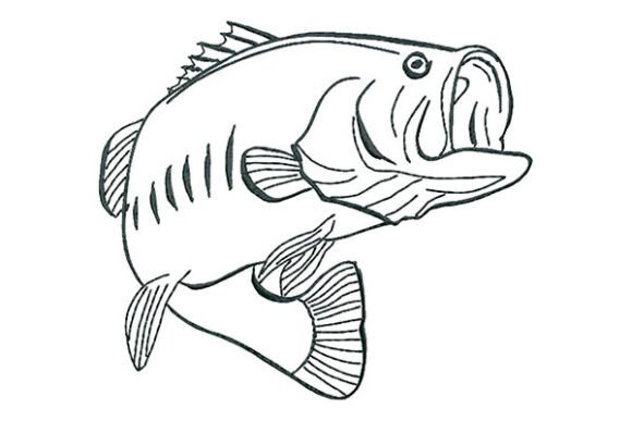Bass Fish Calligraphy Embroidery: A Designer's Review